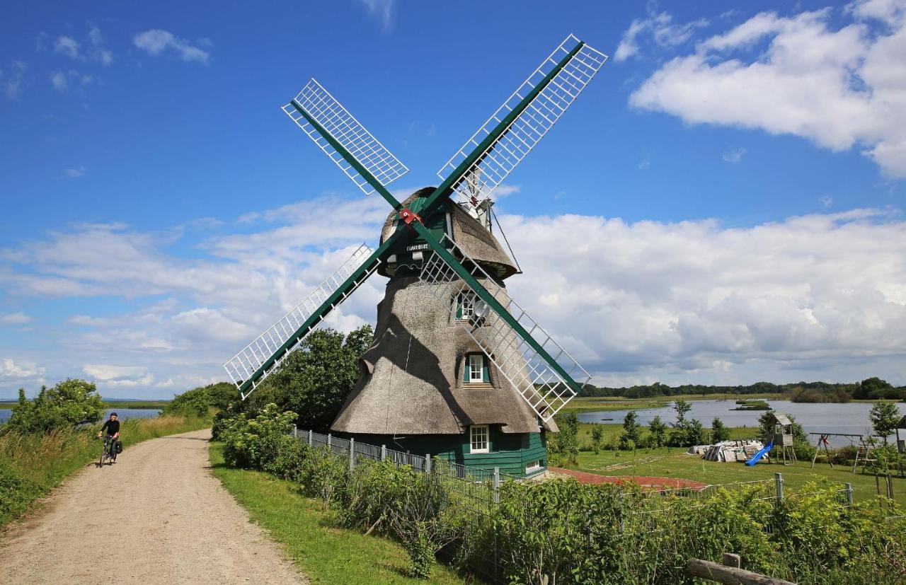 Puehler - Ferienwohnung Amsel Kronsgaard エクステリア 写真